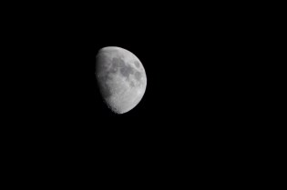 The moon