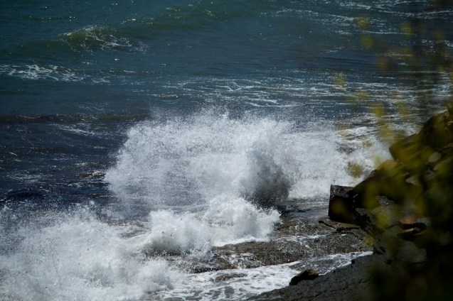 Splash