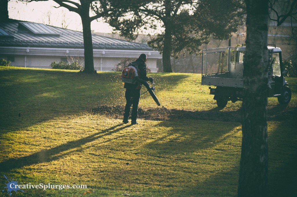 Leaf Blowing
