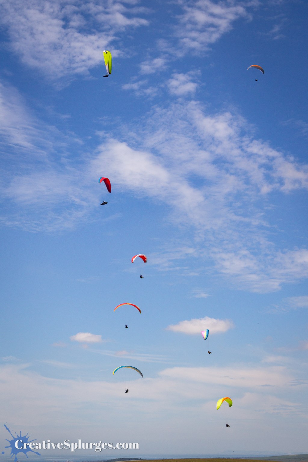 Paragliders